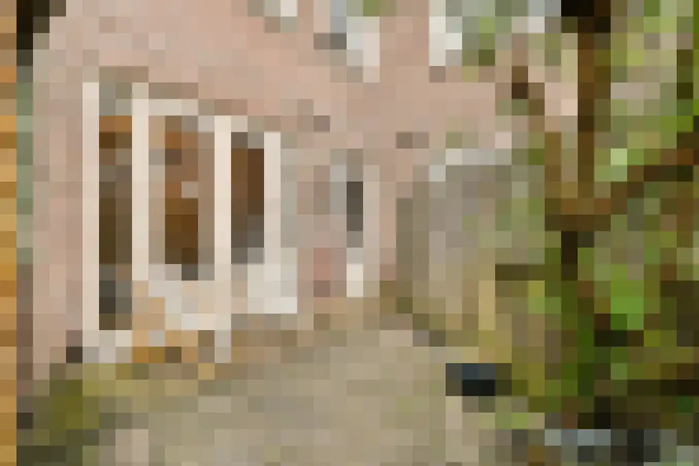 Henriëtte Ronnerstraat 1 1 Amsterdam thumbnail 9