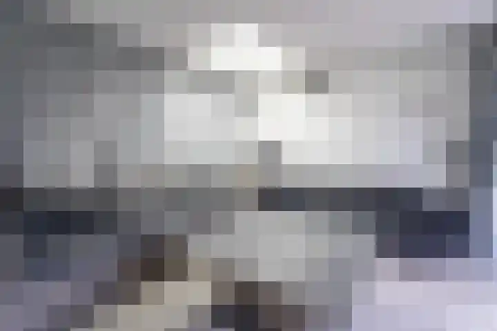 Henriette Ronnerstraat 17 Tilburg thumbnail 36