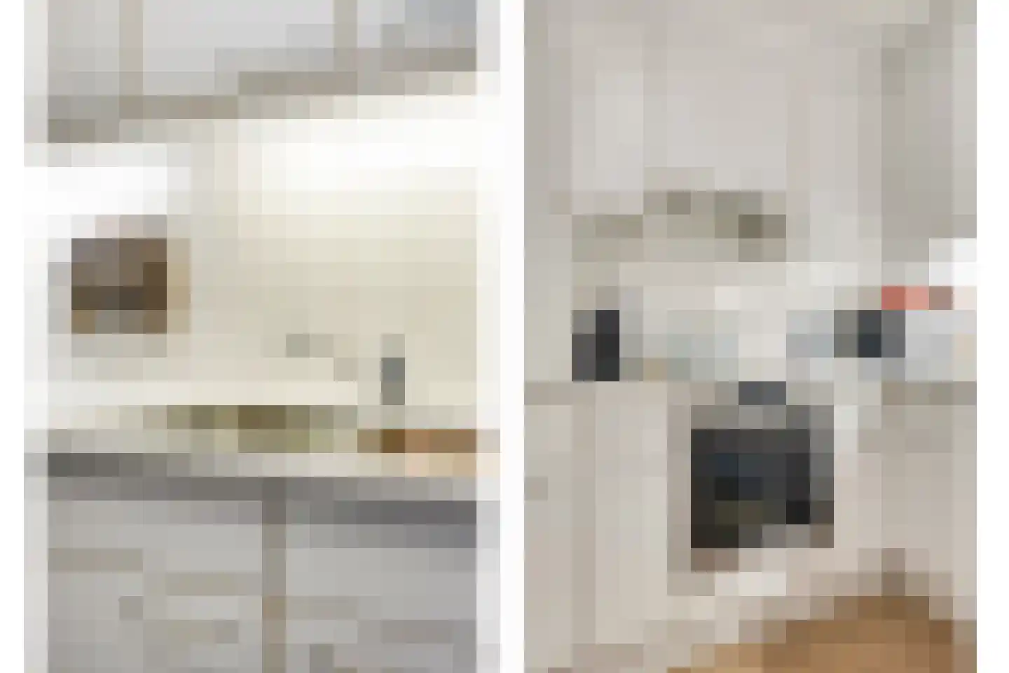 Henriette Ronnerstraat 186 Tilburg thumbnail 18