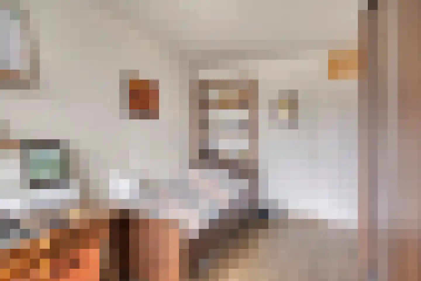 Henriette Ronnerstraat 186 Tilburg thumbnail 21