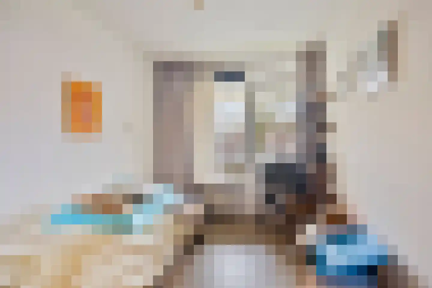 Henriette Ronnerstraat 186 Tilburg thumbnail 25