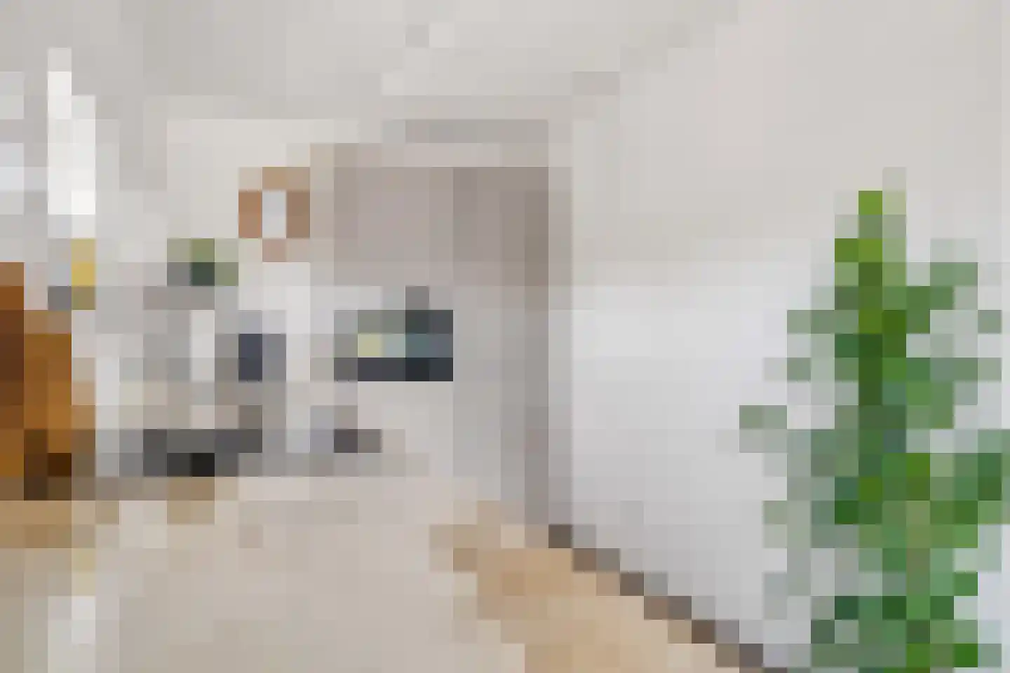 Henriette Ronnerstraat 212 Tilburg thumbnail 13