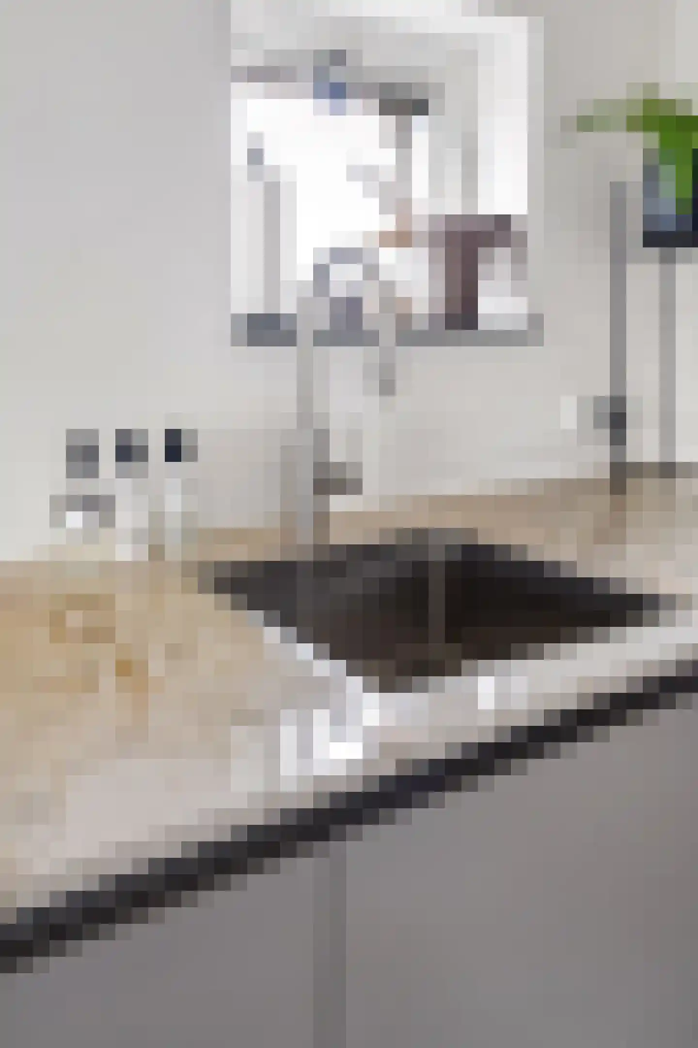 Henriette Ronnerstraat 212 Tilburg thumbnail 14