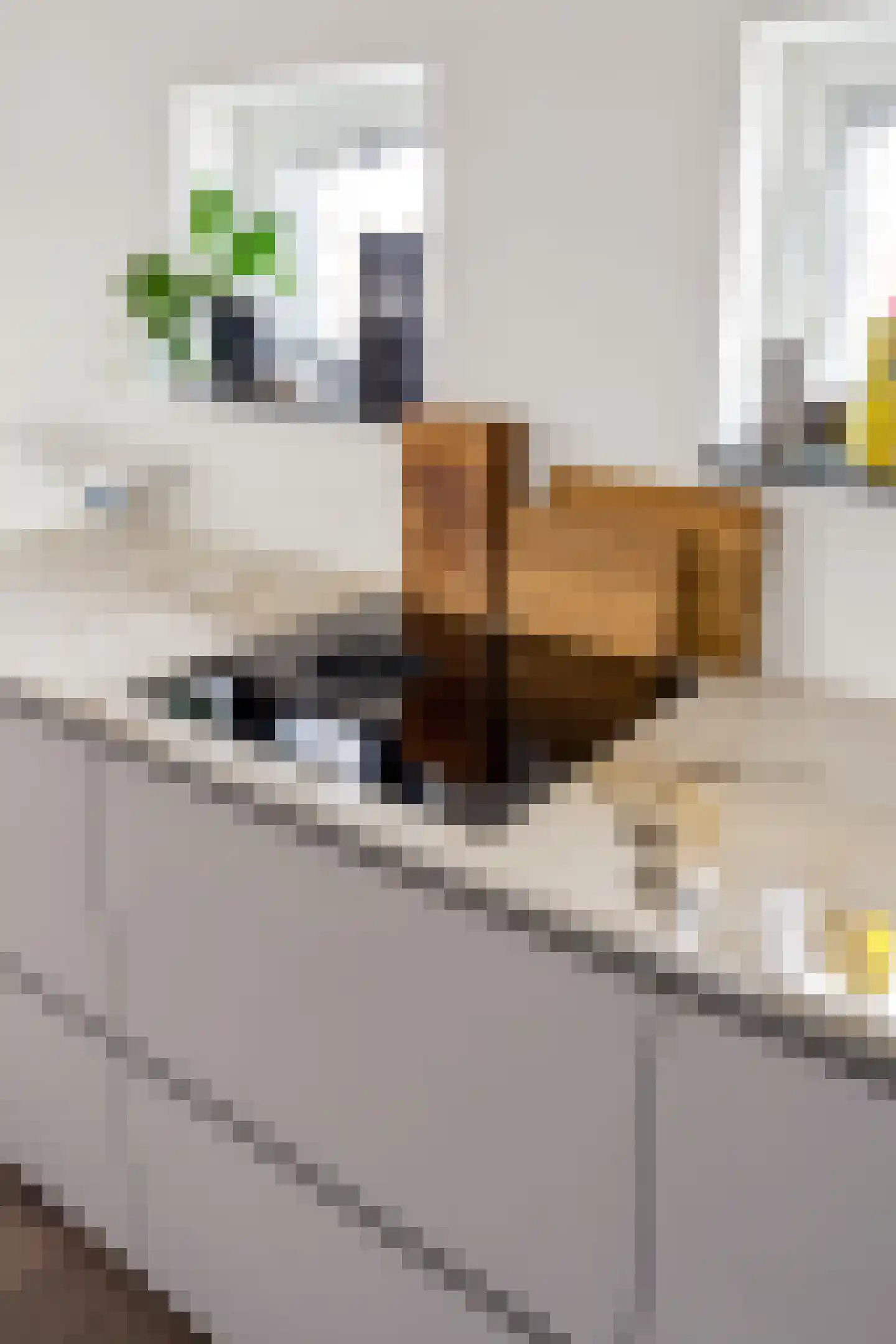 Henriette Ronnerstraat 212 Tilburg thumbnail 15