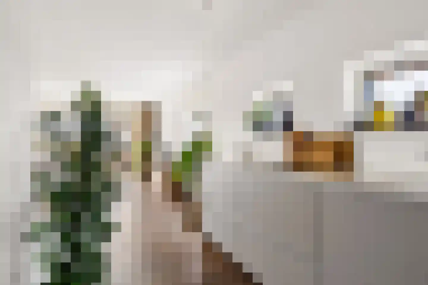 Henriette Ronnerstraat 212 Tilburg thumbnail 16
