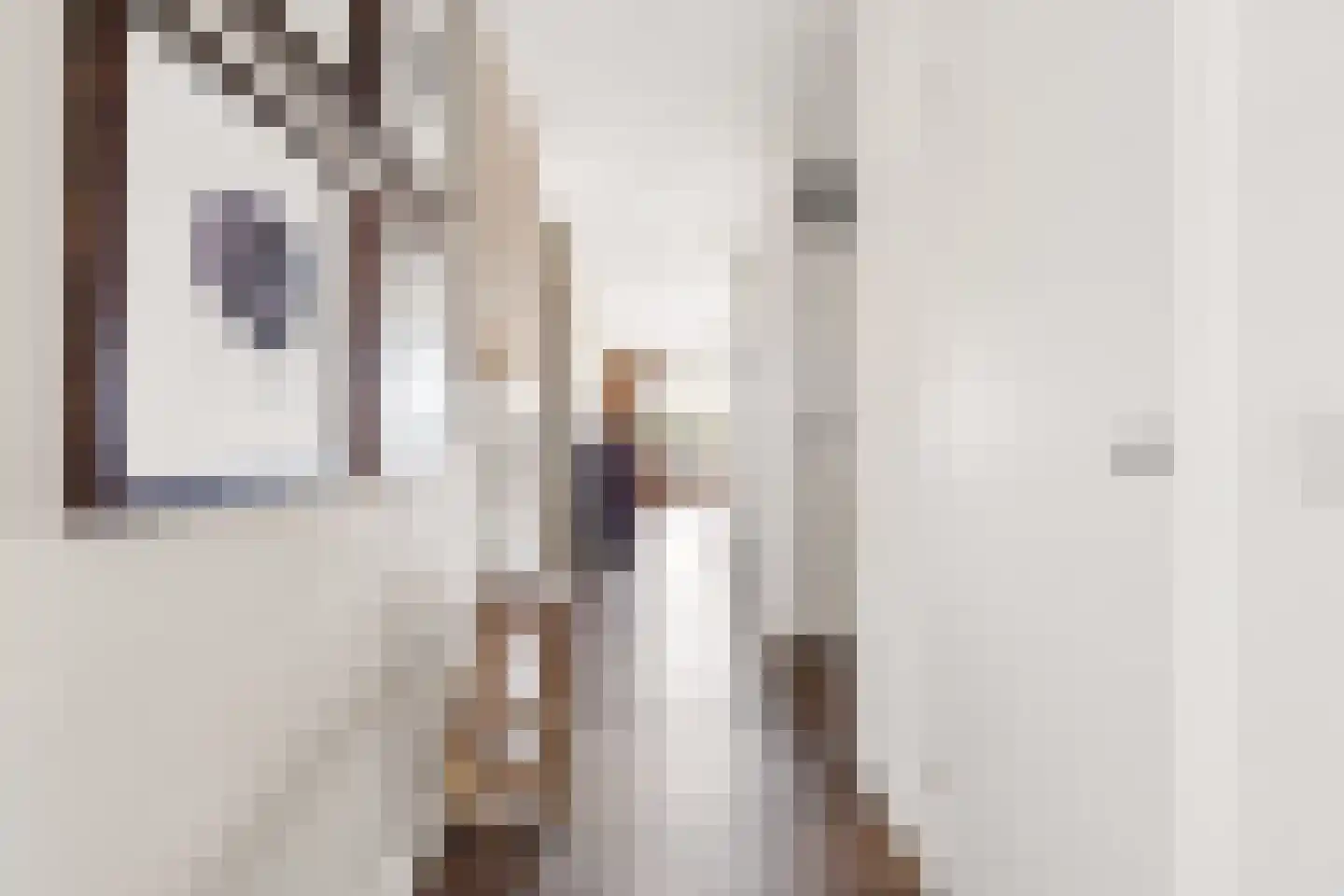 Henriette Ronnerstraat 212 Tilburg thumbnail 18