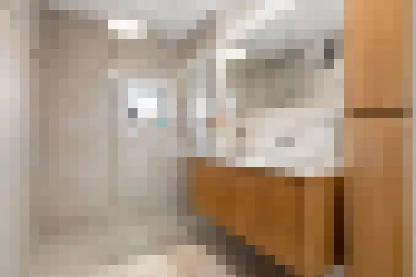 Henriette Ronnerstraat 212 Tilburg thumbnail 25