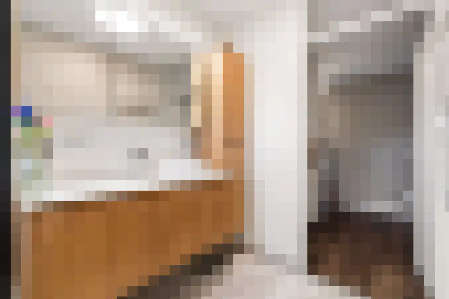 Henriette Ronnerstraat 212 Tilburg thumbnail 26