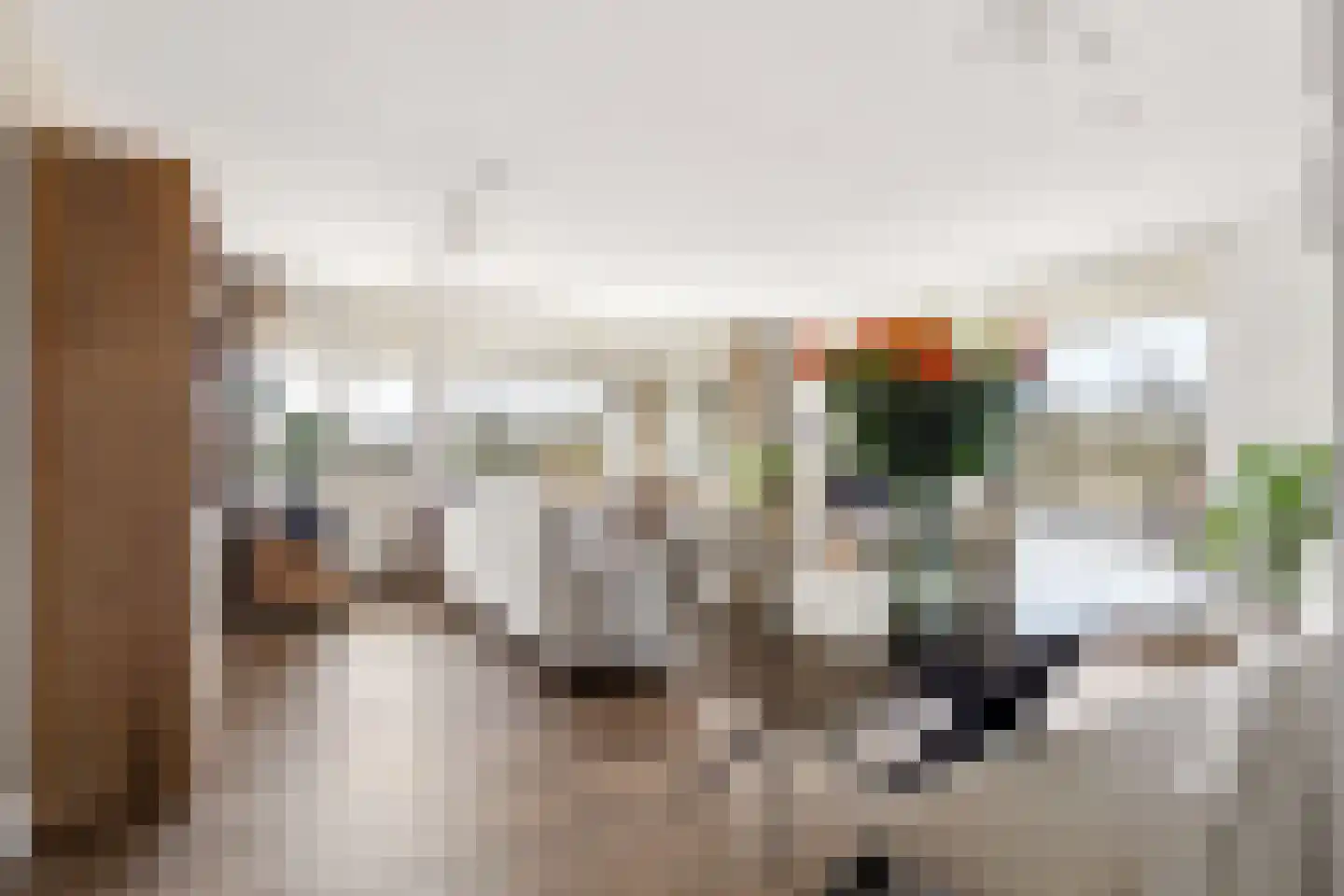 Henriette Ronnerstraat 212 Tilburg thumbnail 9