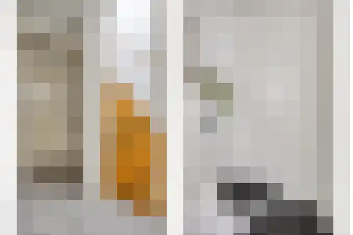 Henriette Ronnerstraat 43 Tilburg thumbnail 26