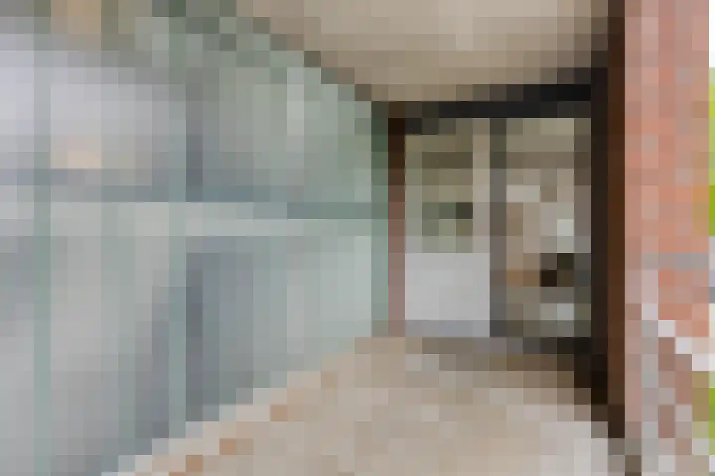 Henriette Ronnerstraat 53 Tilburg thumbnail 10