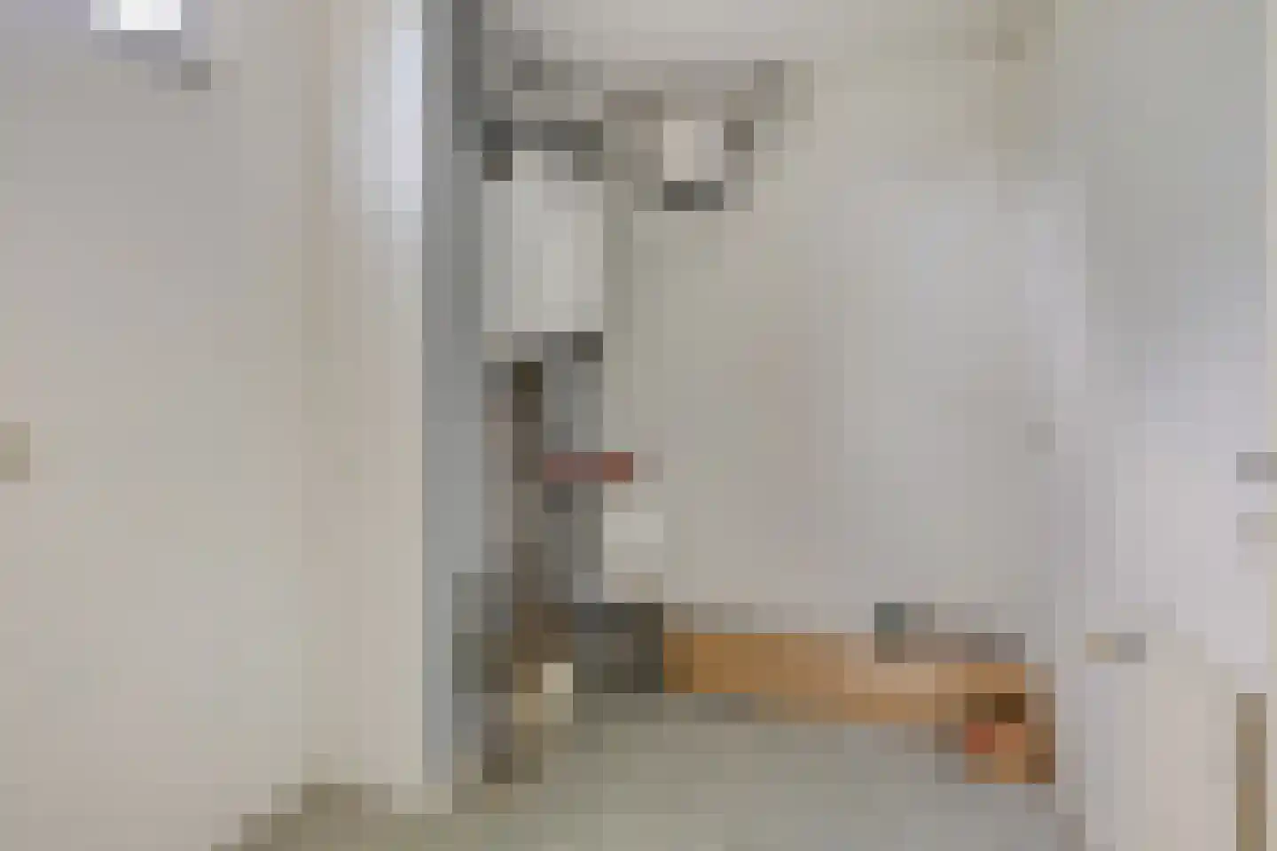 Henriette Ronnerstraat 53 Tilburg thumbnail 16
