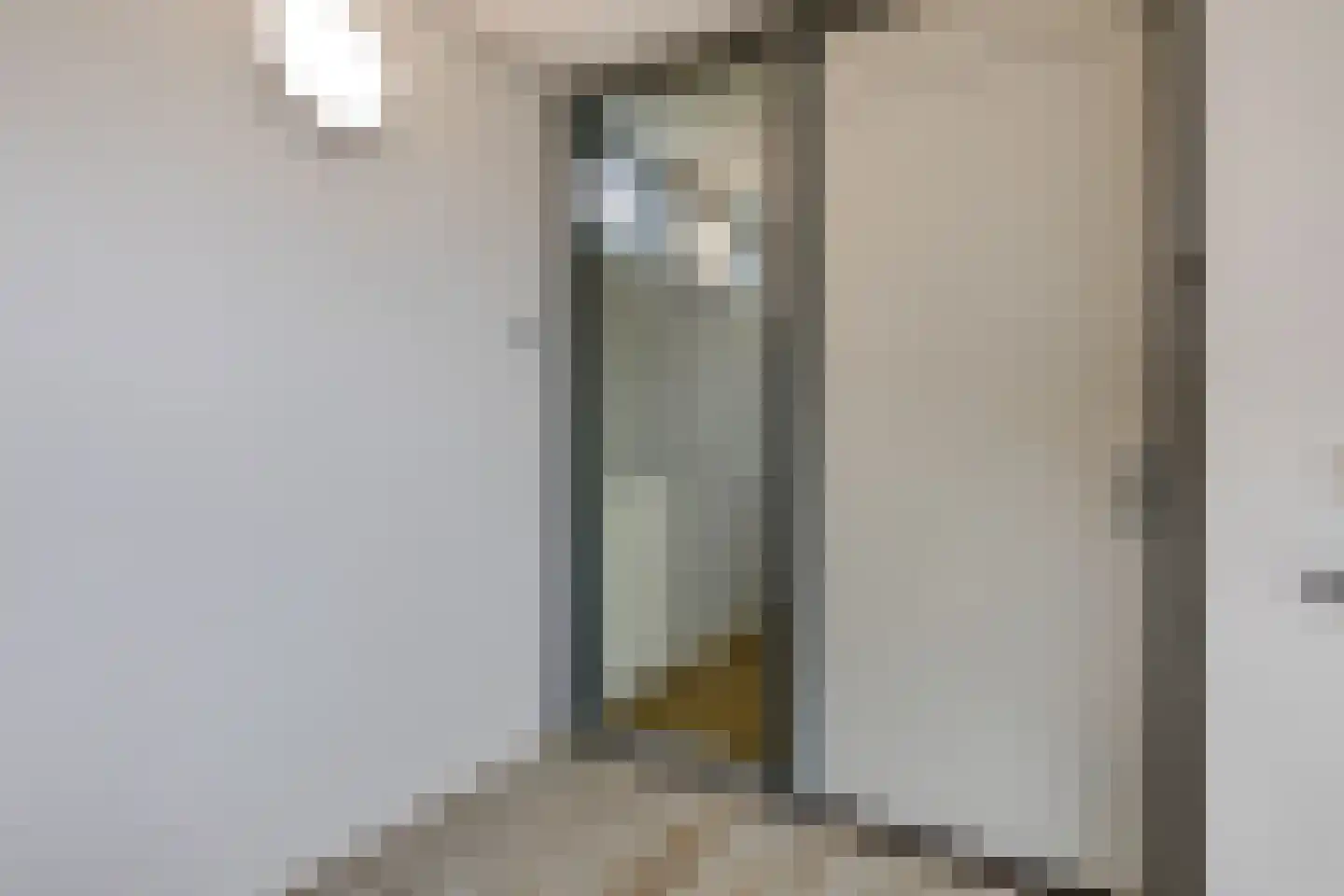 Henriette Ronnerstraat 53 Tilburg thumbnail 26