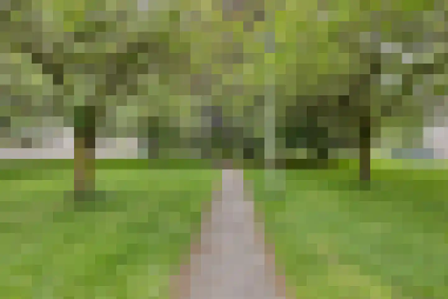 Henriette Ronnerstraat 53 Tilburg thumbnail 36