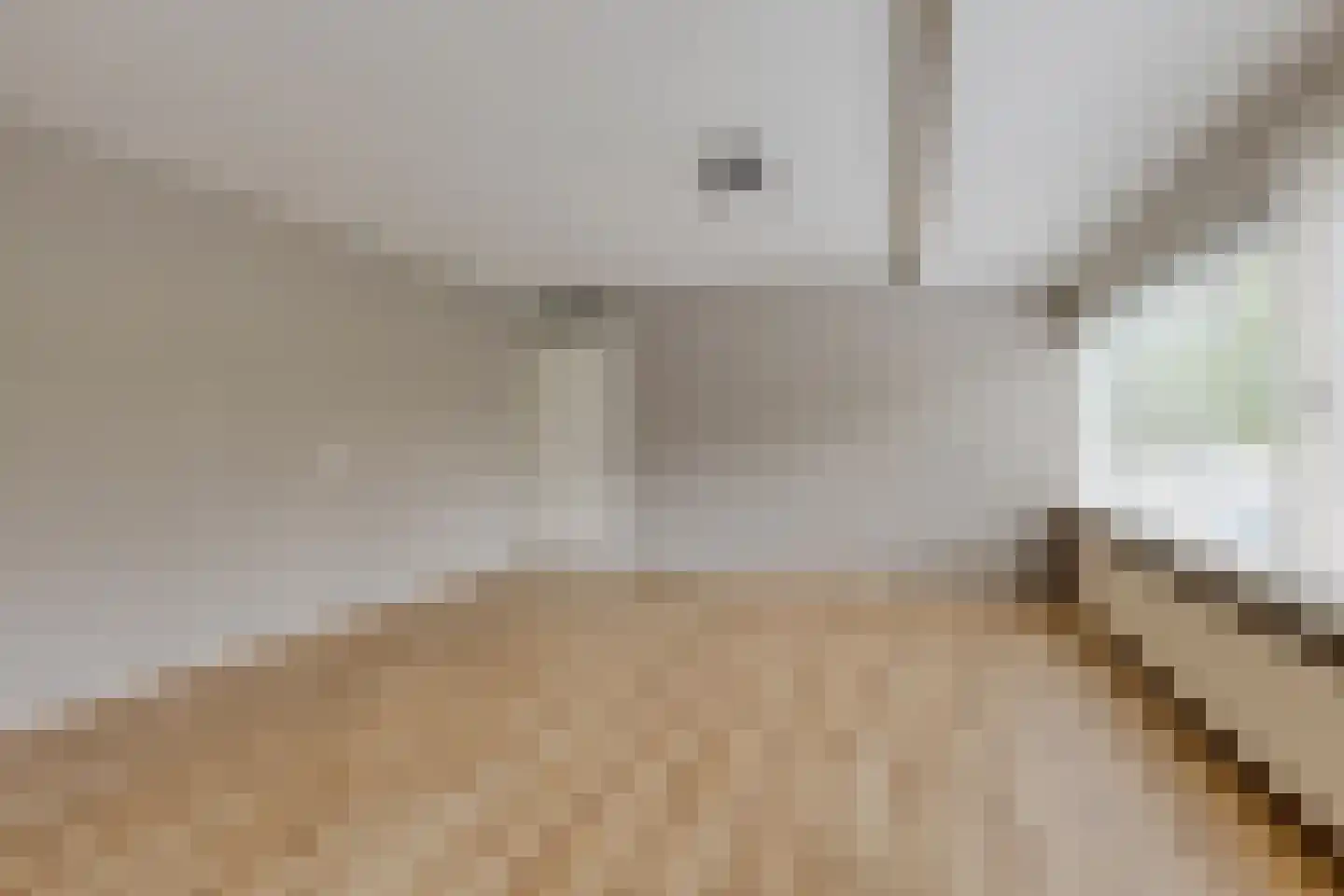 Henriette Ronnerstraat 53 Tilburg thumbnail 8
