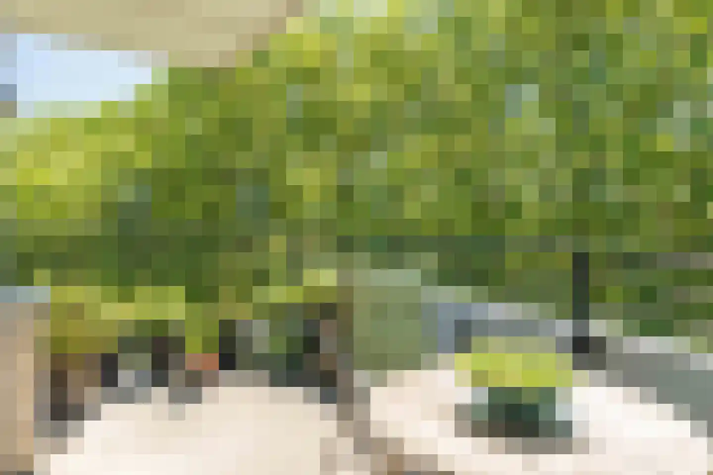 Henriette Ronnerstraat 90 Tilburg thumbnail 16