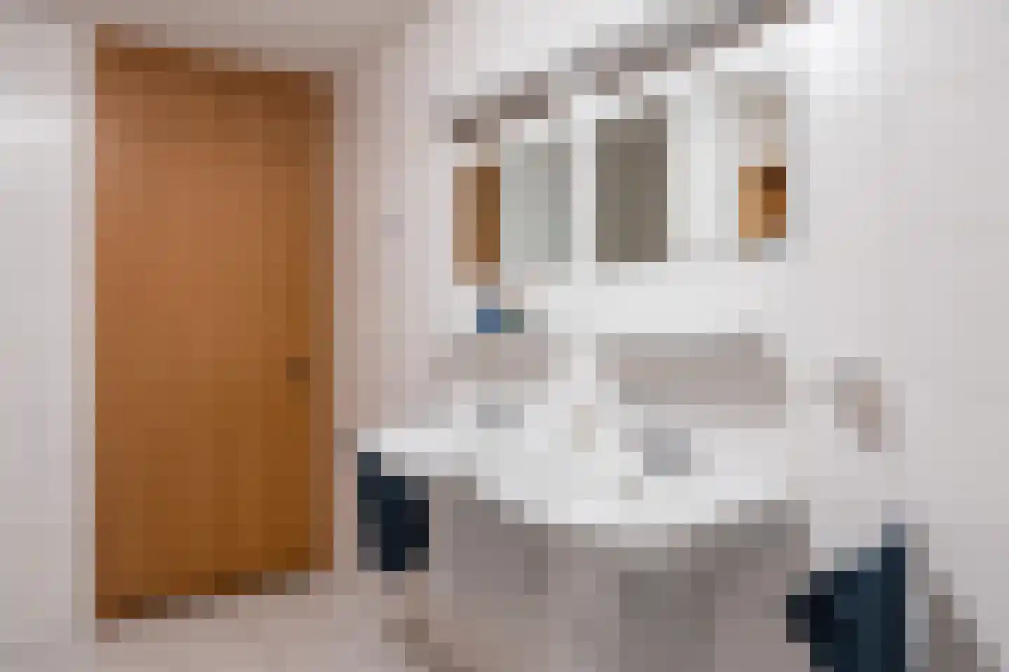 Henriette Ronnerstraat 90 Tilburg thumbnail 35