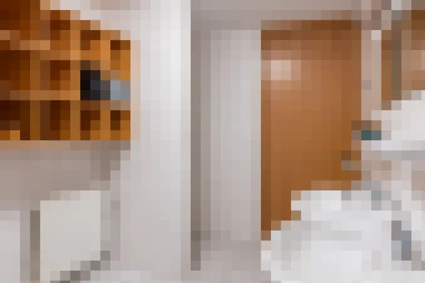 Henriette Ronnerstraat 90 Tilburg thumbnail 36