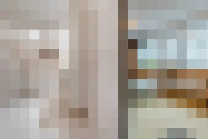 Henriette Ronnerstraat 92 Tilburg thumbnail 20