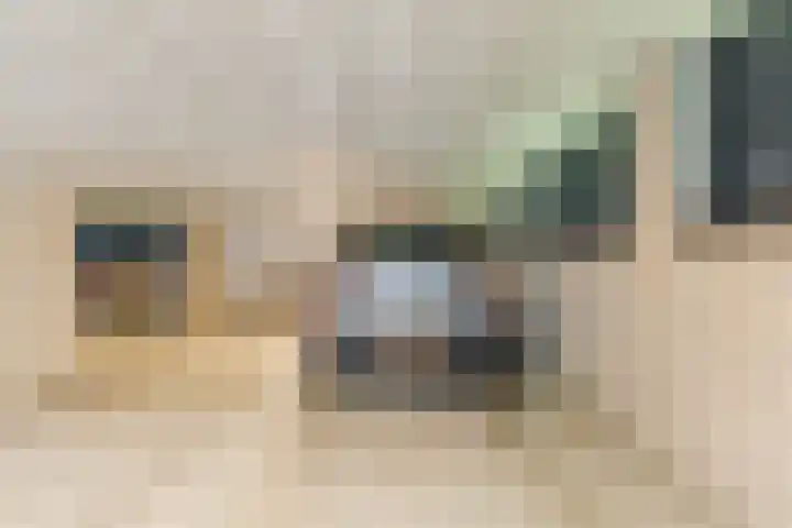 Henriette Ronnerstraat 92 Tilburg thumbnail 32