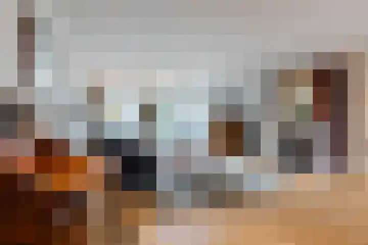 Henriette Ronnerstraat 92 Tilburg thumbnail 5