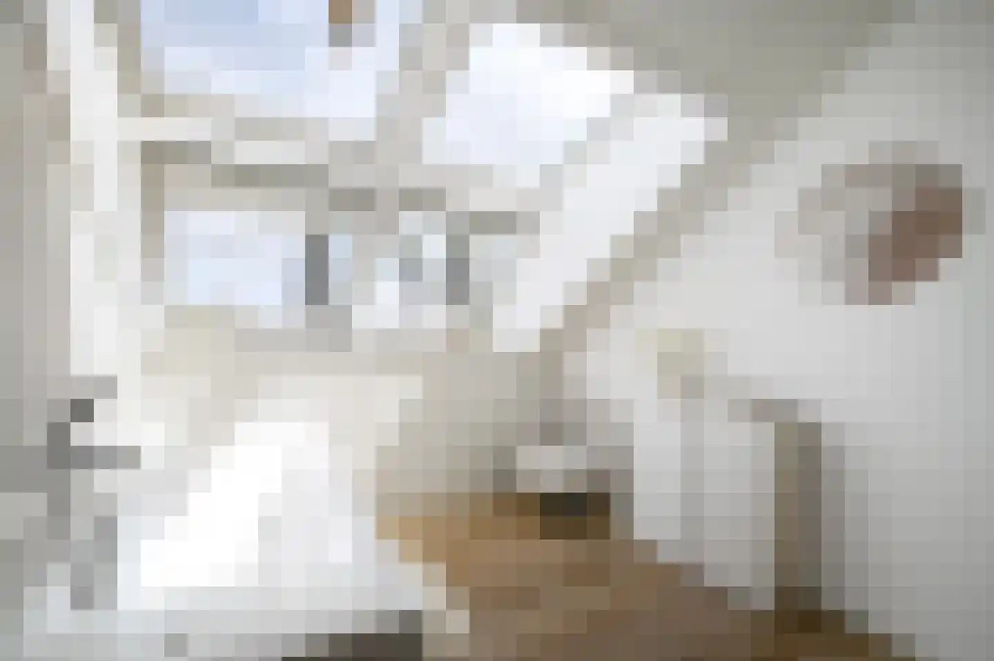 Henriëtte van der Meydreef 138 Den Haag thumbnail 38