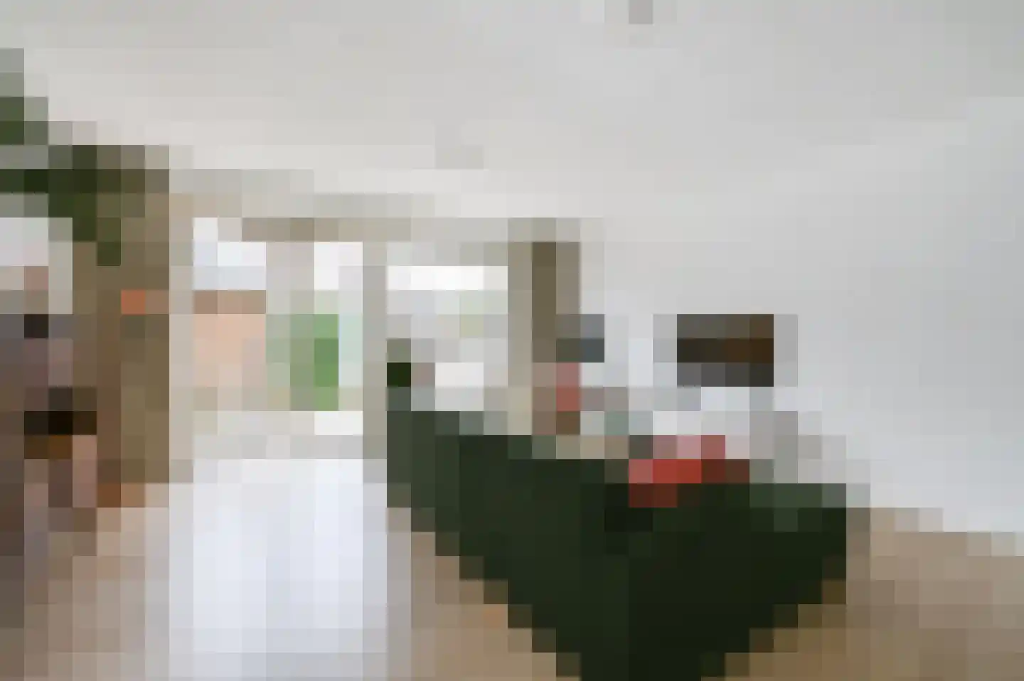 Henriëtte van der Meydreef 138 Den Haag thumbnail 8