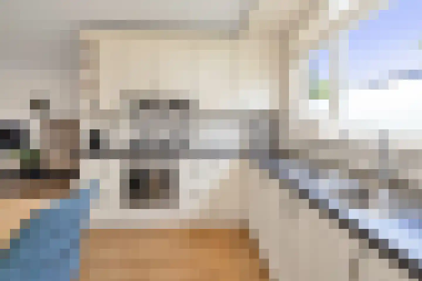 Henriëtte van der Meystraat 15 Heemskerk thumbnail 22