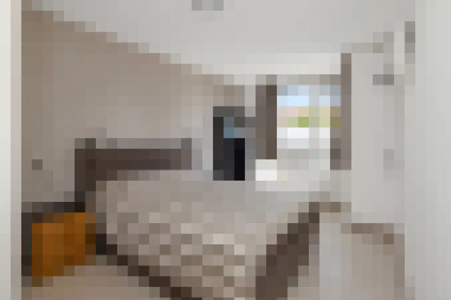 Henriëtte van der Meystraat 15 Heemskerk thumbnail 31