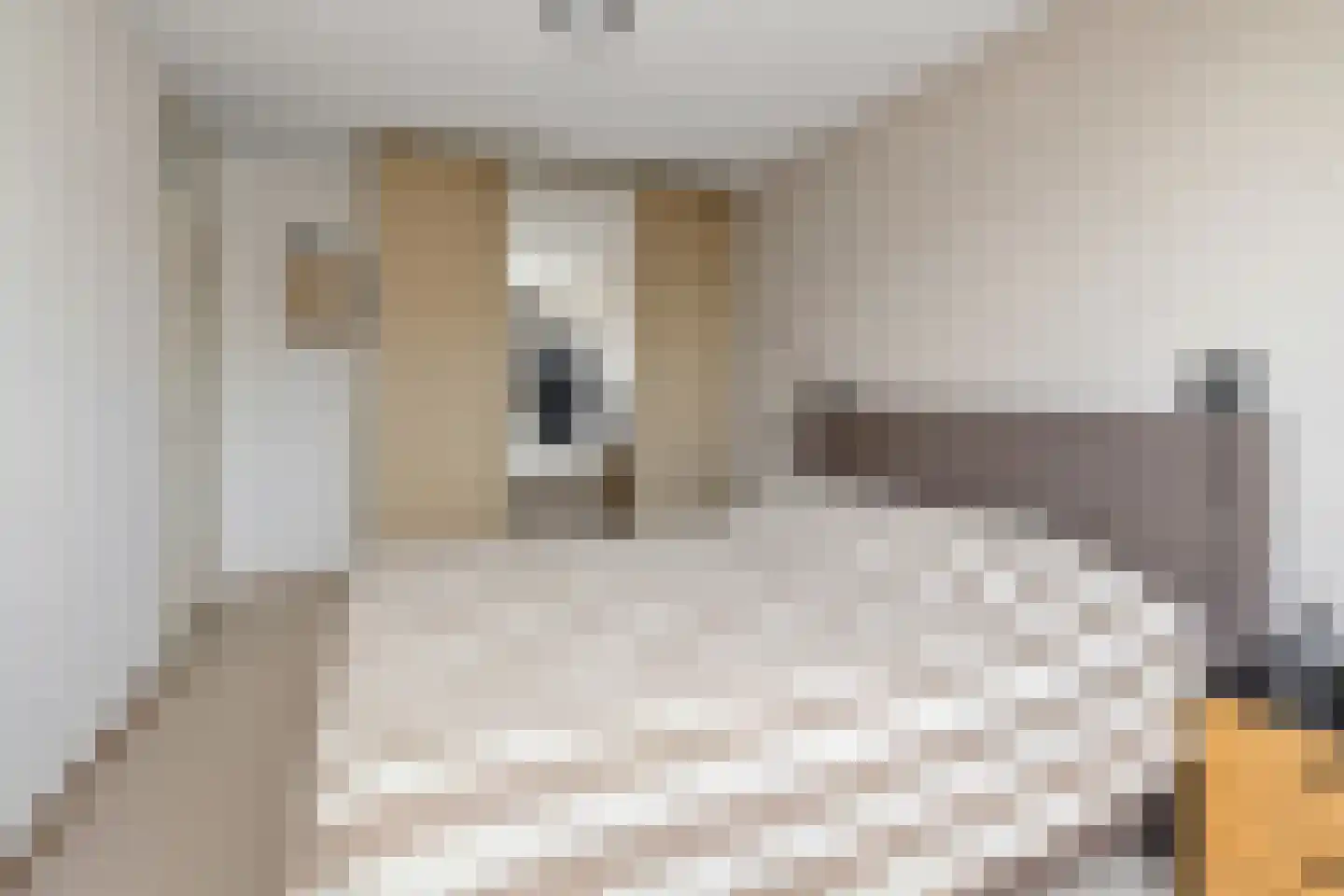 Henriëtte van der Meystraat 15 Heemskerk thumbnail 33