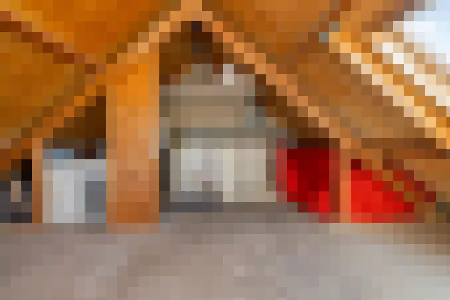 Henriëtte van der Meystraat 15 Heemskerk thumbnail 38