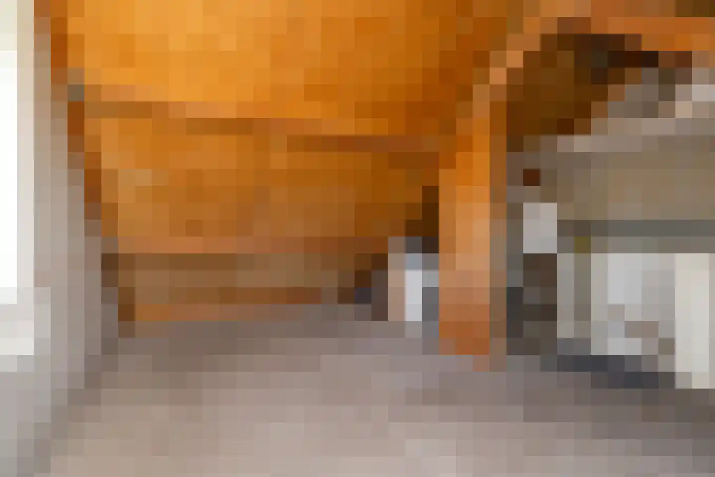 Henriëtte van der Meystraat 15 Heemskerk thumbnail 39