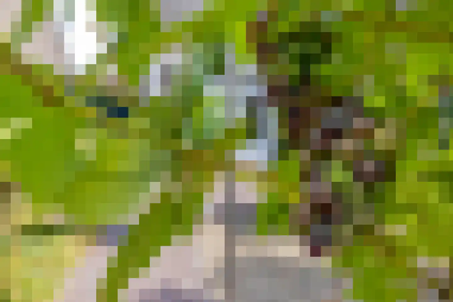 Henriëtte van der Meystraat 15 Heemskerk thumbnail 44