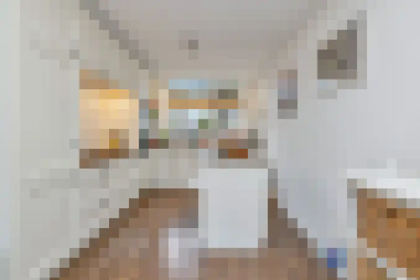 Henriëtte van der Meystraat 16 Heemskerk thumbnail 13