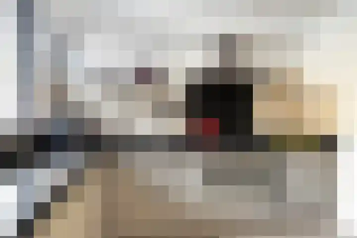 Henriëtte van der Meystraat 42 Leiden thumbnail 9