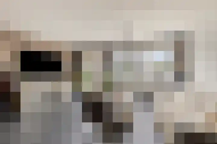 Henriëtte van der Meystraat 7 Leiden thumbnail 4