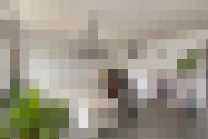 Henriëtte van der Meystraat 7 Leiden thumbnail 5
