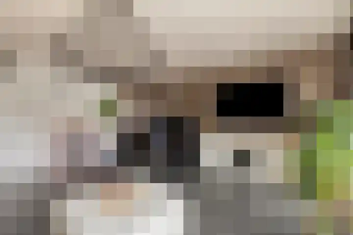 Henriëtte van der Meystraat 7 Leiden thumbnail 6