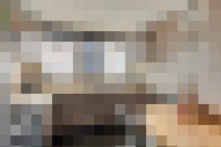 Henriëtte van der Meystraat 7 Leiden thumbnail 8