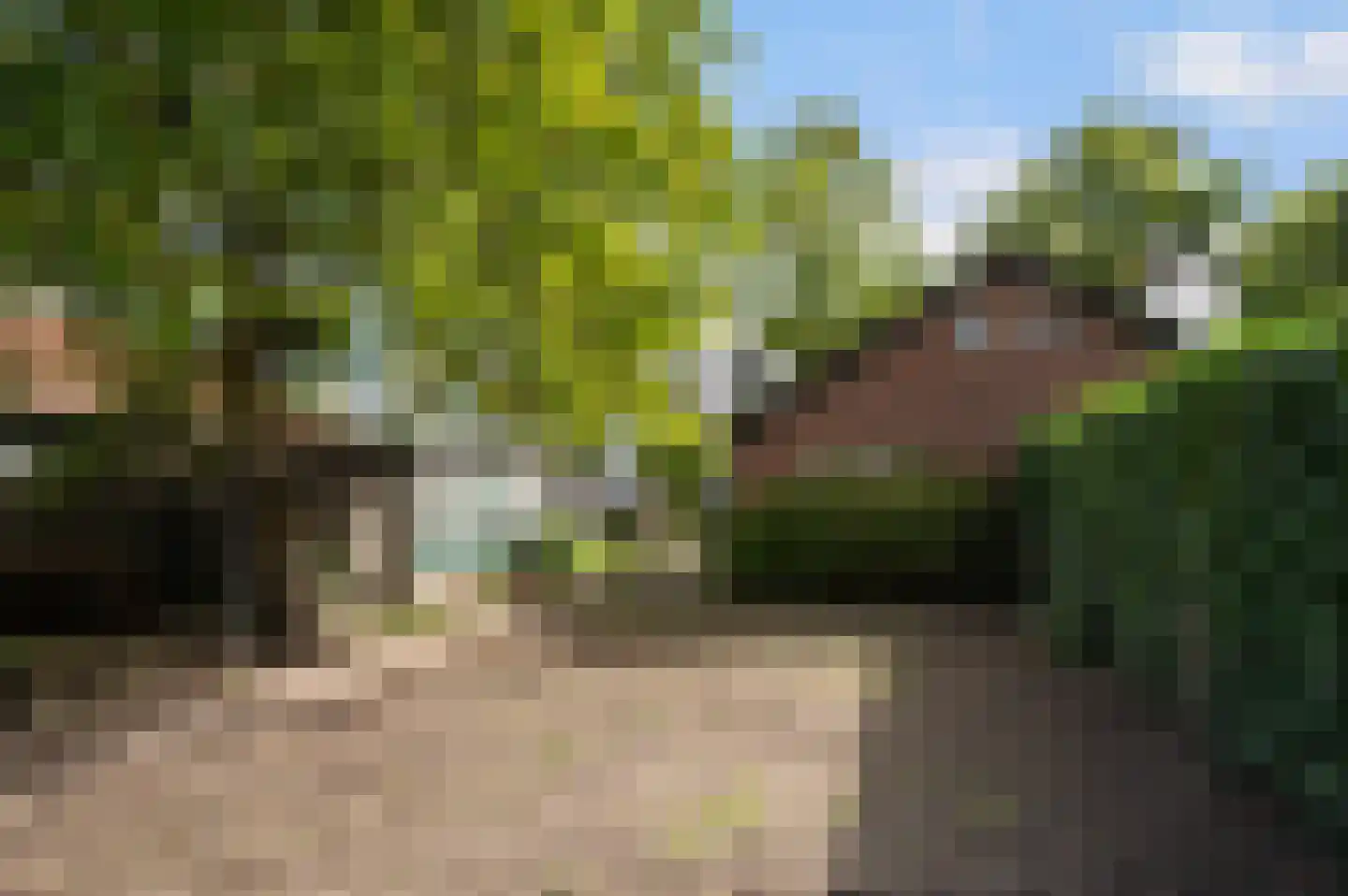 Henriëtte van Eyklaan 39 Apeldoorn thumbnail 42