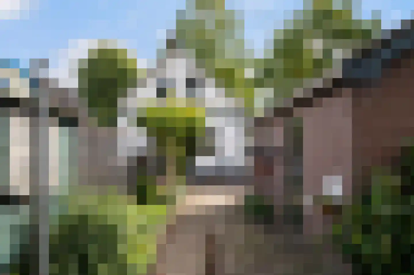 Henriëtte van Eyklaan 39 Apeldoorn thumbnail 43