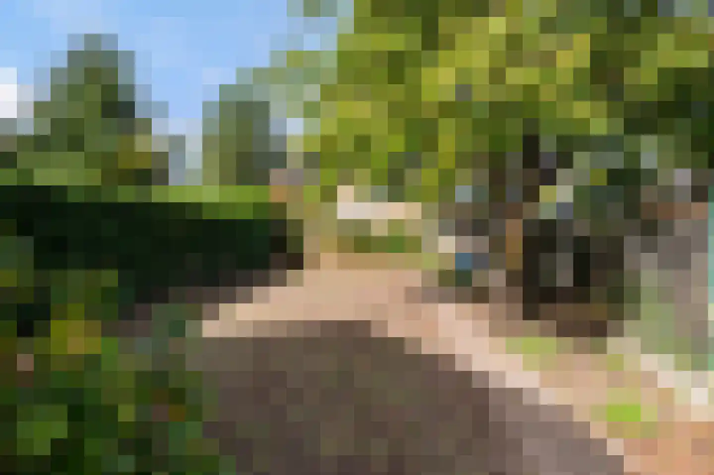 Henriëtte van Eyklaan 39 Apeldoorn thumbnail 48