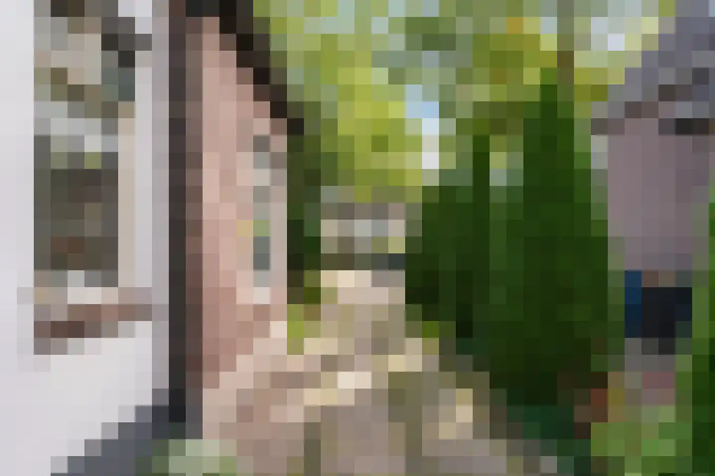 Henriëtte van Eyklaan 39 Apeldoorn thumbnail 6