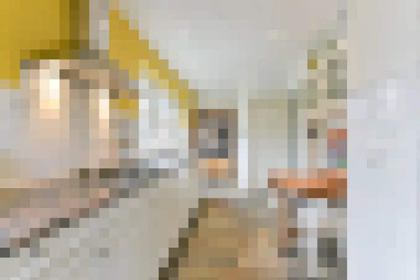 Henriëtte van Lijndenlaan 4 Zeist thumbnail 24