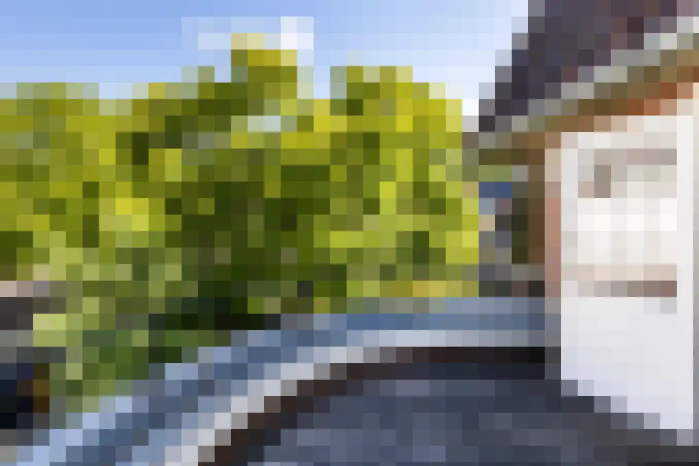 Henriëtte van Lijndenlaan 4 Zeist thumbnail 36