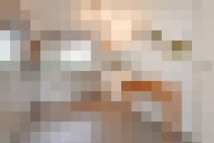 Henriëtte van Soelenlaan 42 Den Haag thumbnail 11