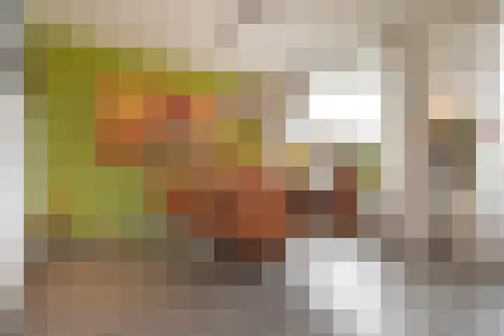 Henriëtte van Soelenlaan 42 Den Haag thumbnail 14