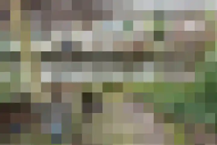 Henriëtte van Soelenlaan 42 Den Haag thumbnail 17