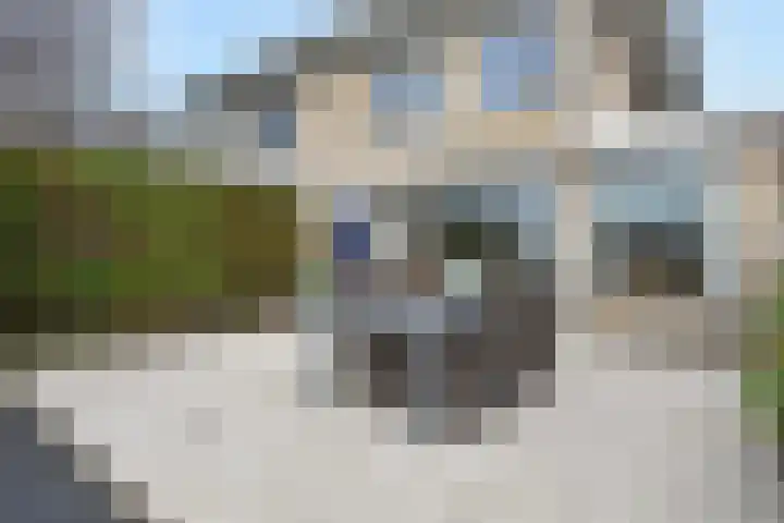 Henriëtte van Soelenlaan 42 Den Haag thumbnail 20