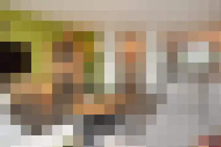 Henriëtte van Soelenlaan 42 Den Haag thumbnail 21